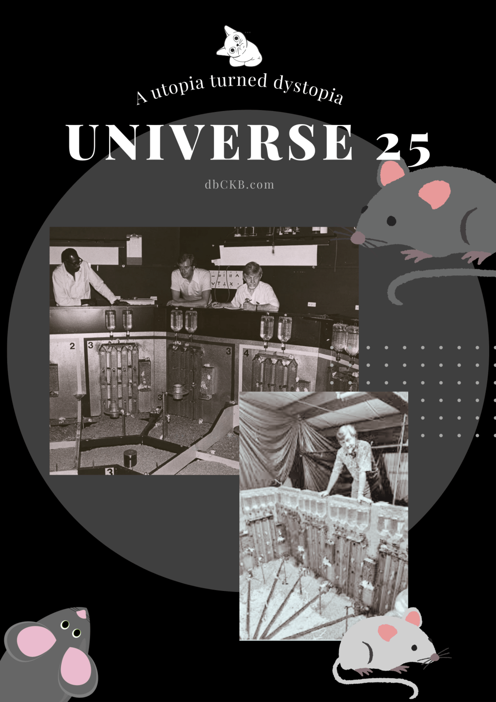 Lessons from Universe 25: What a mouse experiment can teach us about Human&nbsp;Societies