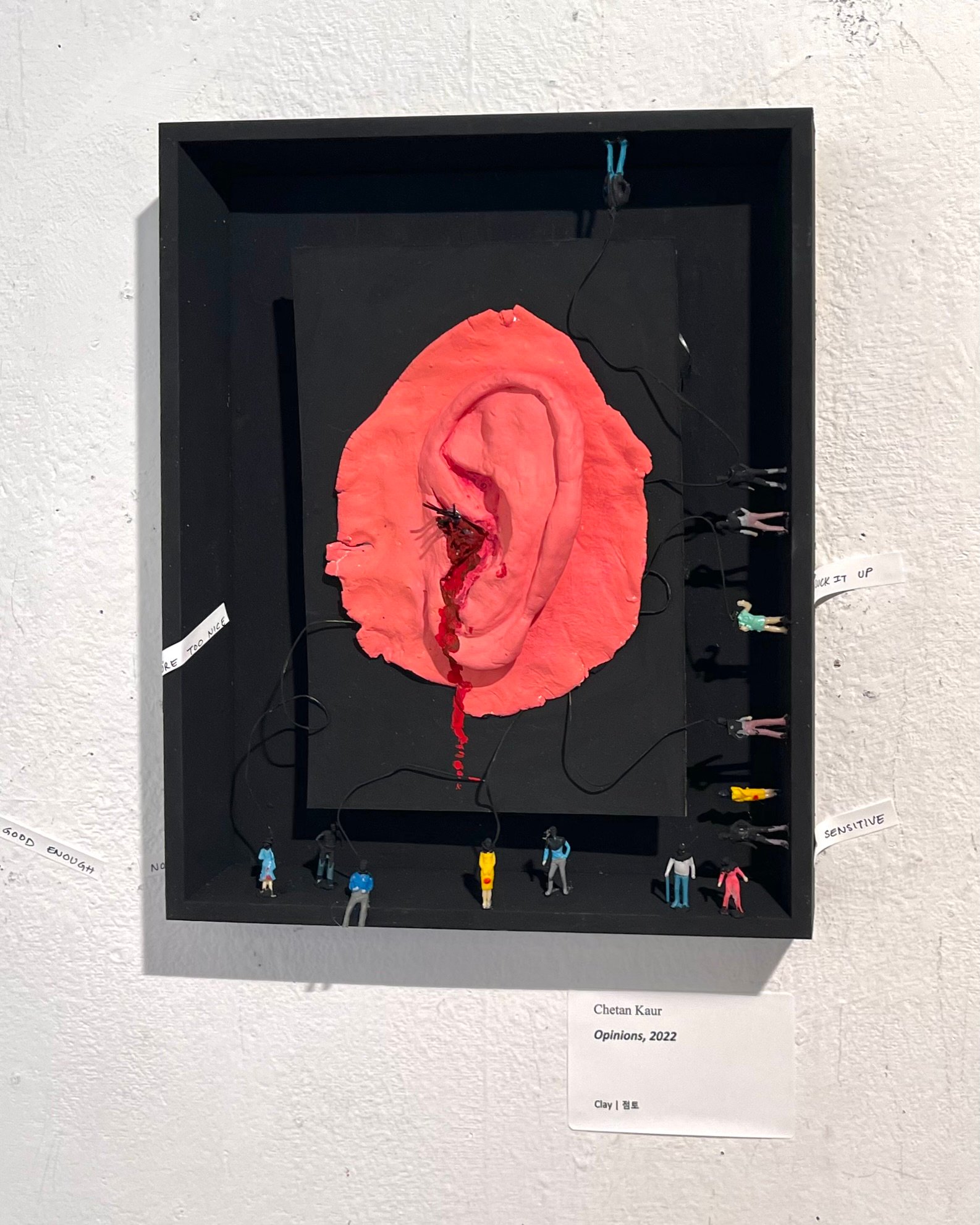 Opinions by Chetan Kaur Bhogal